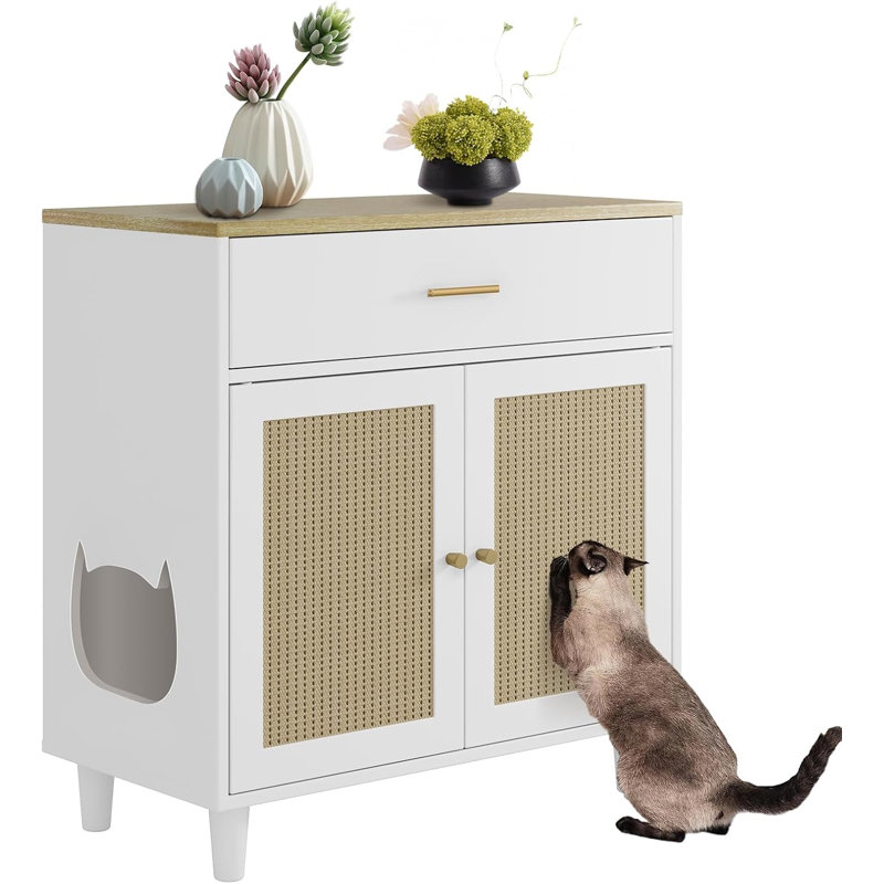 Cat Litter Box Enclosure