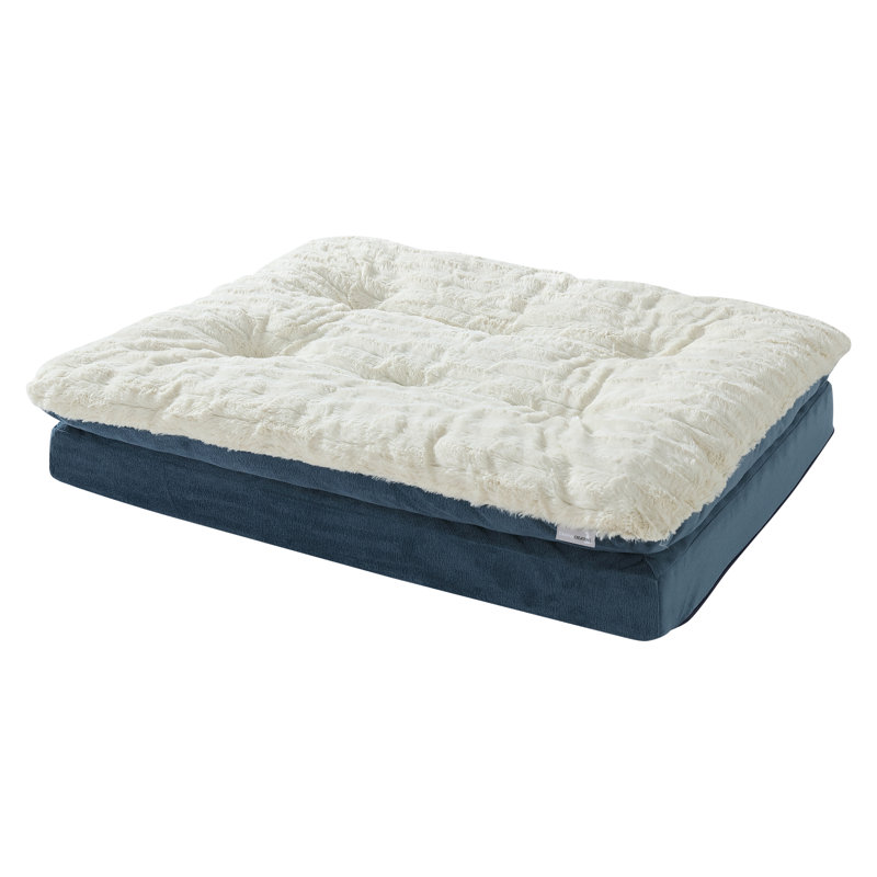Lit orthopédique pour animaux Archie & Oscar ™ Home & Pet, Bleu, H 8 po x l 36 po x P 27 po
