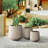 Khoi Pot Planter-306469222