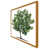 Oak Framed