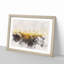 Hot Air Balloons over Bagan in Myanmar - Picture Frame Painting Print-56733550-56733551