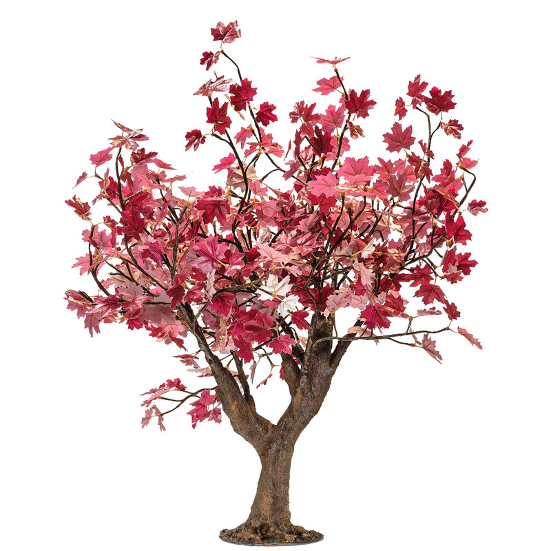 Érable illuminé et branches, Rose