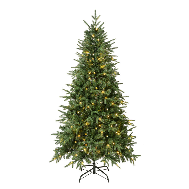 Sapin de Noël Danbury de 1,80 m, effet réaliste grâce à ses lumières DEL, H 6 pi, Illuminé