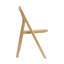 ASHTON FOLDING DINING CHAIR-146317773