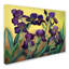 «Mauve barbu» par Cheryl Bartley, reproduction sur toile-32714285