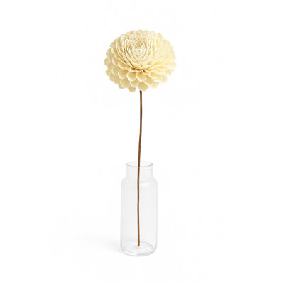 Shola Zenia 10.5" with Stick