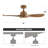 Chantha 42'' Ceiling Fan with LED Lights