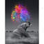 Diamond Painting Kit