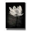 «Lotus Flower X» par Debra Van Swearingen, art mural sur toile-395945866