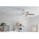 Nyxton 52'' Ceiling Fan with LED Lights