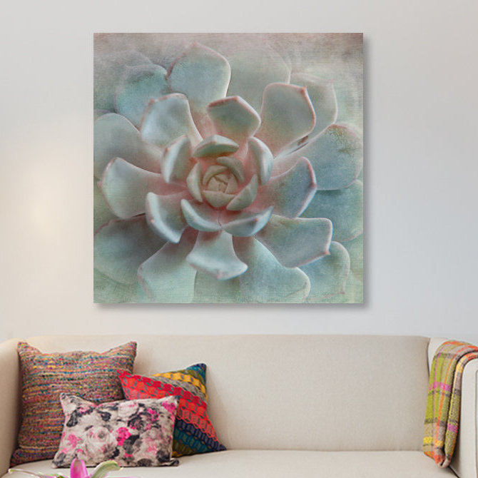 « pastel succulent ii », impression sur toile, H 26 po x l 26 po x P 1,5 po, Toile tendue, Pas de tapis