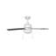 Madison 44 inch Indoor Ceiling Fan with LED Light Kit-1818573769-1818573771