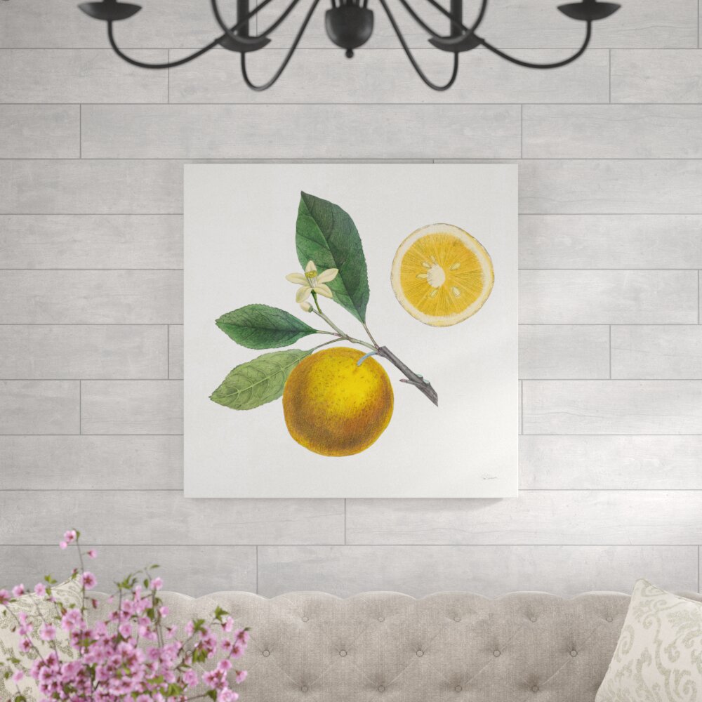 Leinwandbild Classic Citrus II von Sue Schlabach