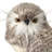 Christmas Bird Stuffed Holiday Accent