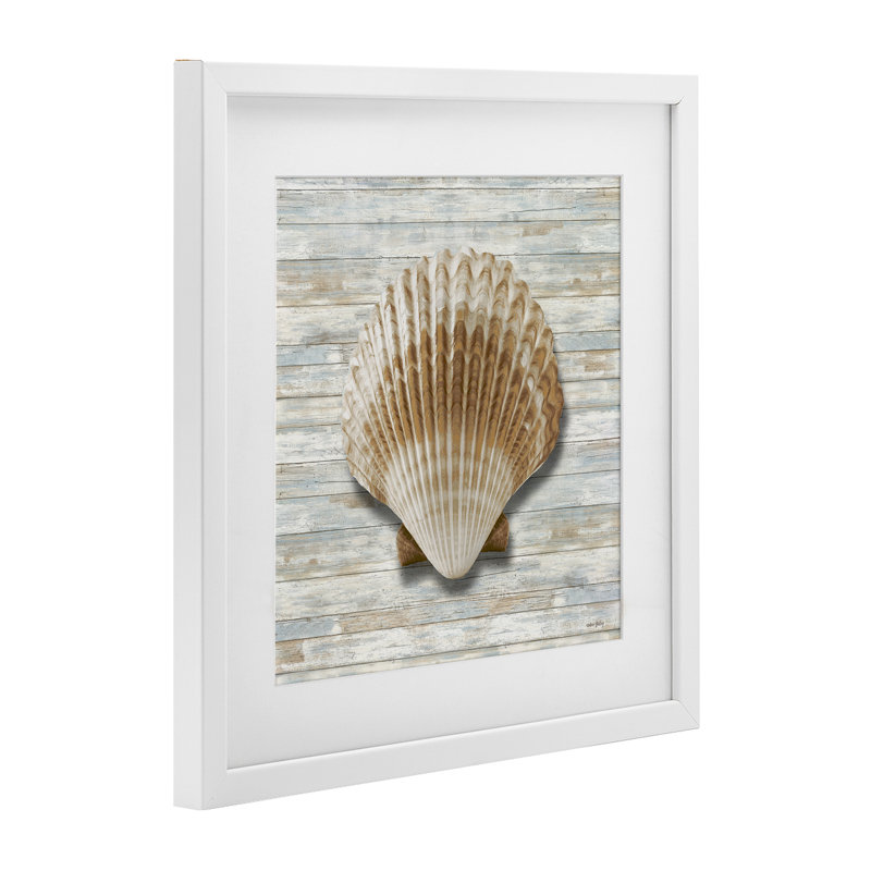 «Clam Shell on Shiplap», reproduction par Amber Sterling, H 16 po x l 16 po, Cadre blanc côtier