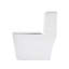 Toilette de salle de bain brute de 12 po, céramique blanche, double chasse 1,1 / 1,6, siège à fermeture douce Siphon Jet, carte de 800 g, céramique facile à entretenir, avec siège en PP pour hygiène et entretien