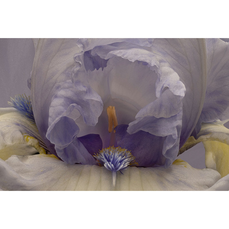 Wrapped Canvas Print, 60.96 cm H x 91.44 cm W