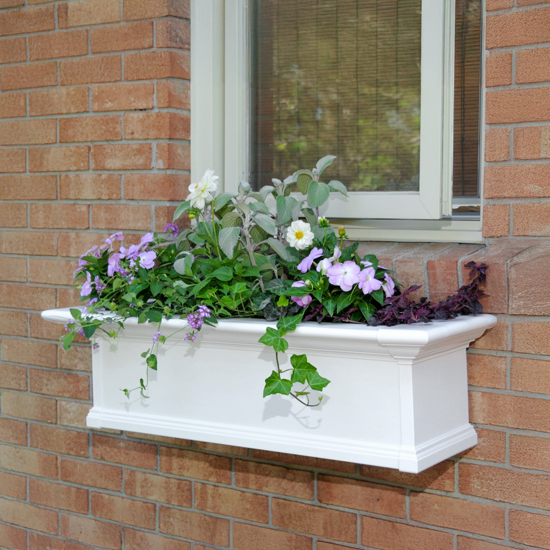 Anand Resin Window Box with Water Reservoir Charlton Home® 