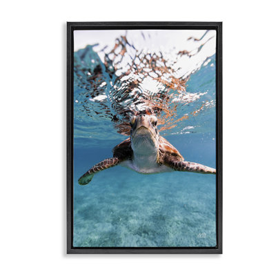 «Hello Sea Turtle Splash Floater» par Max Blakesberg Studios