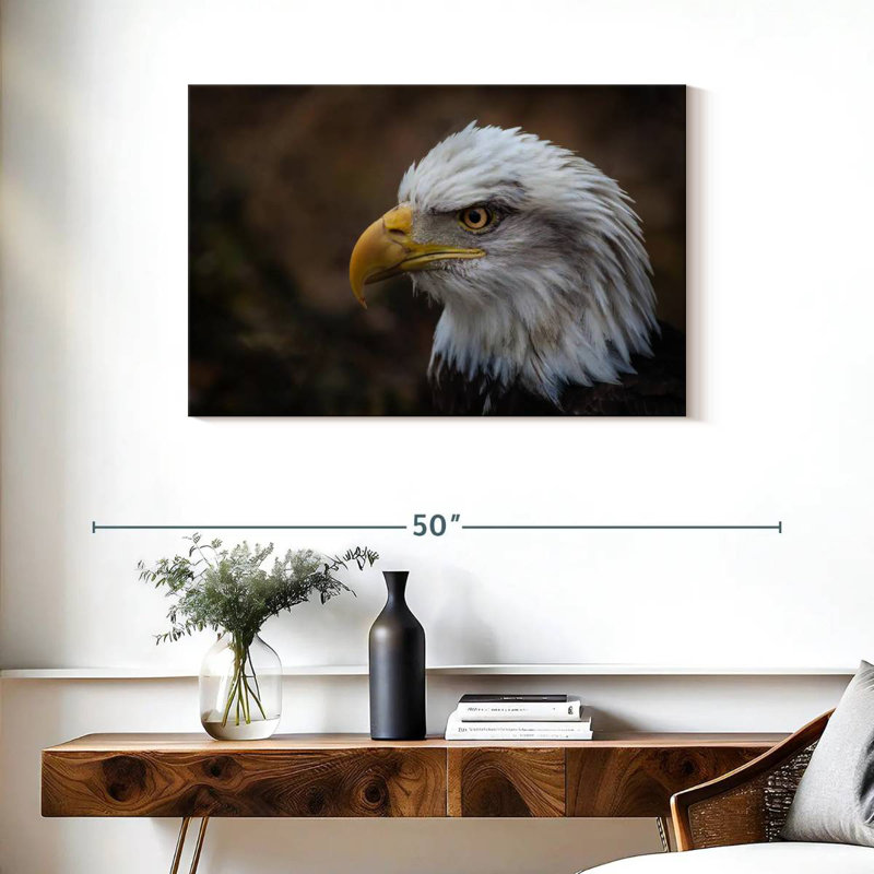 Brampt Bald Eagle Gaze