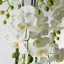 Real Touch Artificial Orchids Plastic, Silk Artificial Arrangement in Planter-88685008-107236912