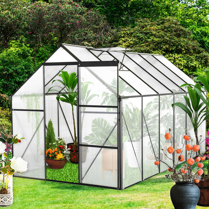 Serre toutes saisons 6 pi x 12 pi - Polycarbonate avec cadre robuste et système de drainage pour la base extérieure galvanisée