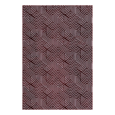 Echo Nyjai Rug