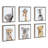 'Safari Animals' by Amy Peterson - Floater Frame Graphic Art Print on Canvas-487855184