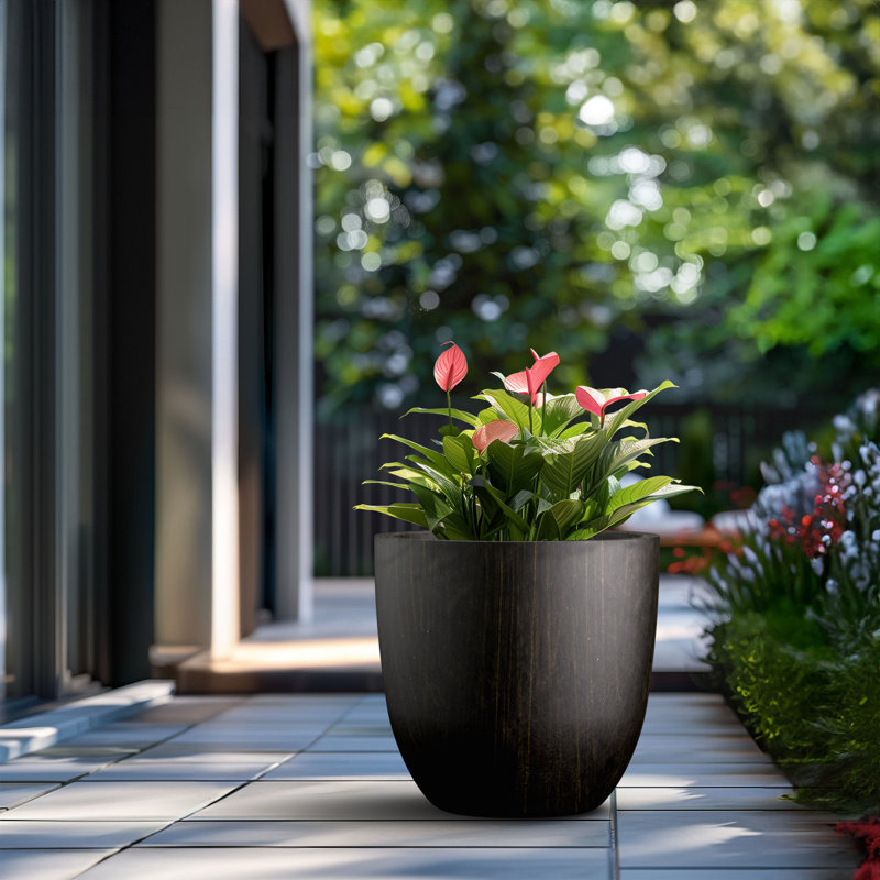 Larney Handmade Pot Planter, 11.81" H x 13.78" W x 13.78" D, Bronzed Black