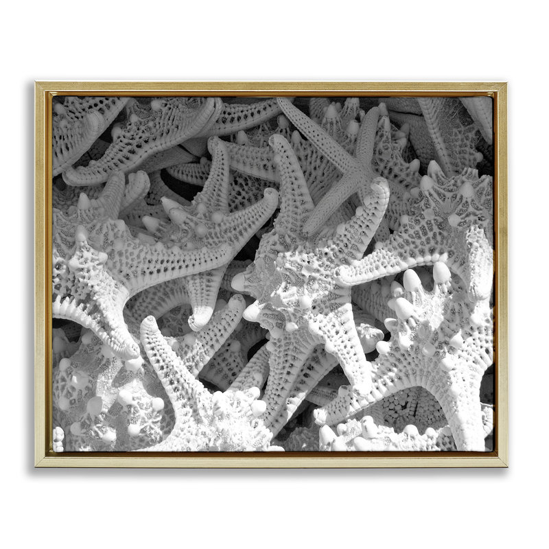 «Nautical Starfish Pile» par Jairo Rodriguez, Cadre flottant métallique doré, H 17 po x l 21 po