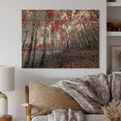 Red Autum Trees In The Forest - Traditional Print on Wood