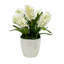 HYACINTH IN A CACHE POT