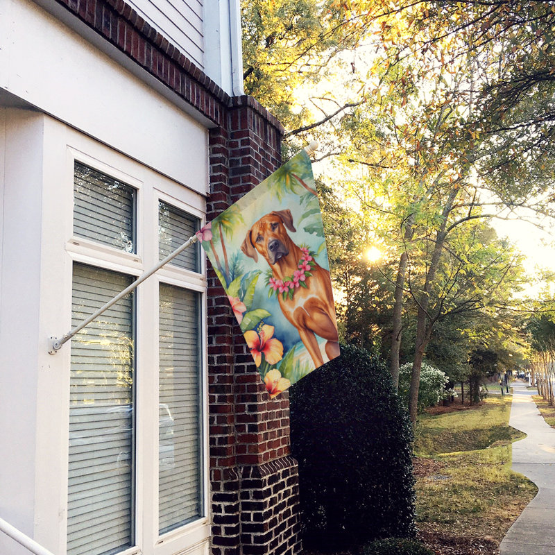 Double Sided 40'' H x 28'' W Polyester Animal House Flag