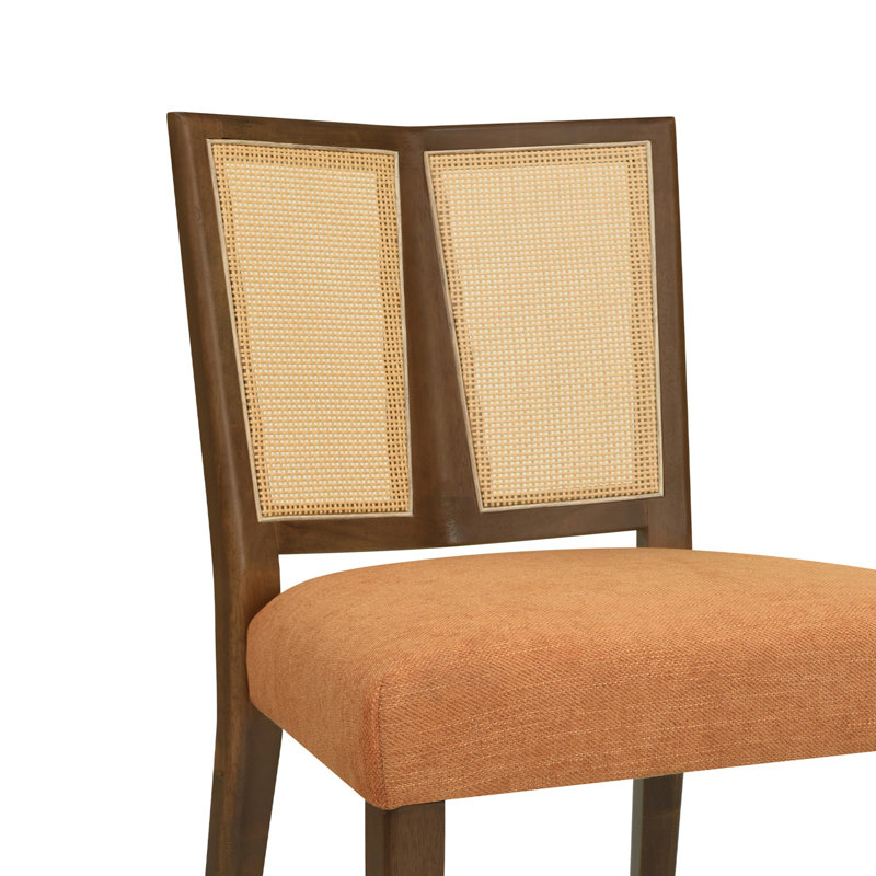 Chaise de salle à manger moderne et élégante, Noyer, Caramel