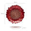 Red Sunflower Bowl