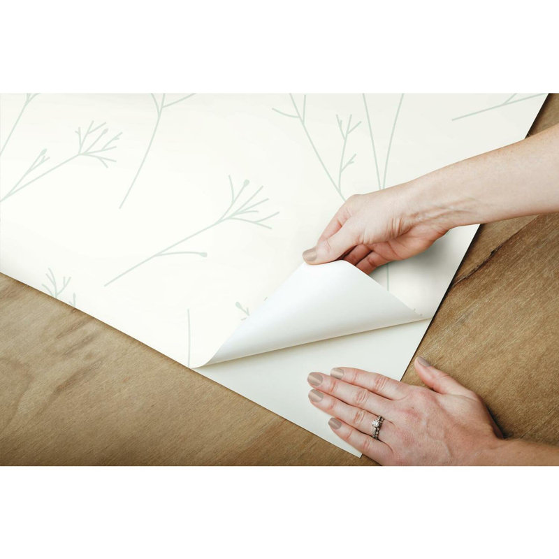 Rouleau de papier peint à peler et à coller Twig L 16,5 pi x l 20,5 po, Vert