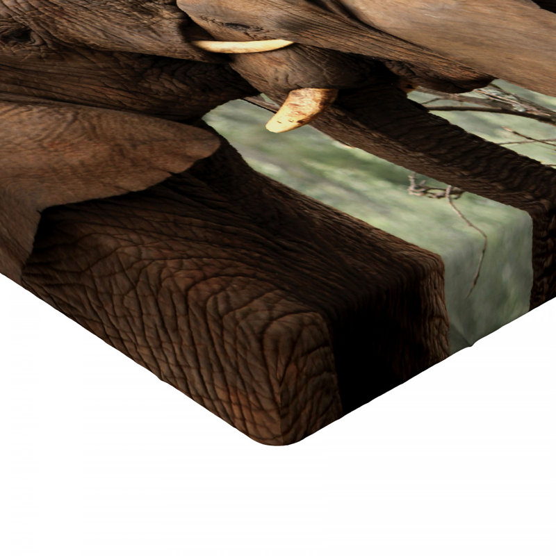 Ambesonne Microfiber Fitted Sheet