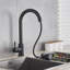 Belfry Kitchen Larsen Pull Out Kitchen Faucet