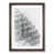 Walnut Framed
