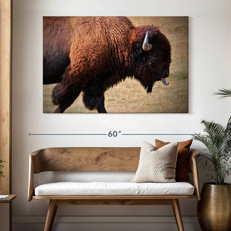 Tongue Wagging Bison, 34" H x 51" W
