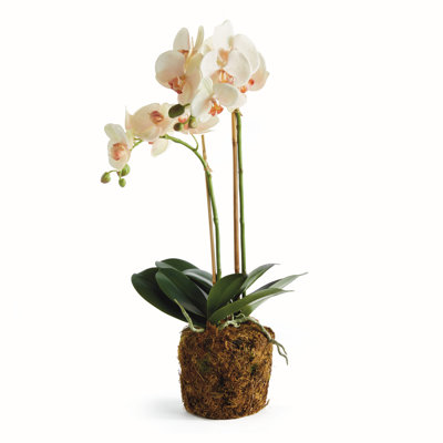 23 " Polyester Orchid Arrangement