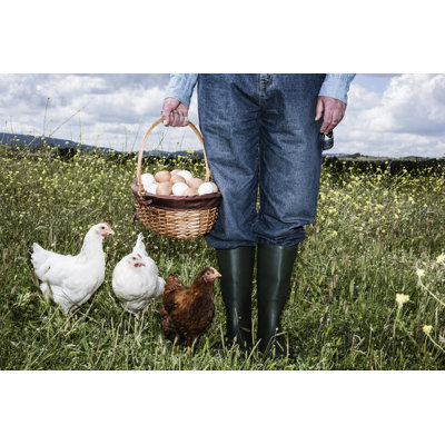 Farmer with Organic Eggs by Aluxum