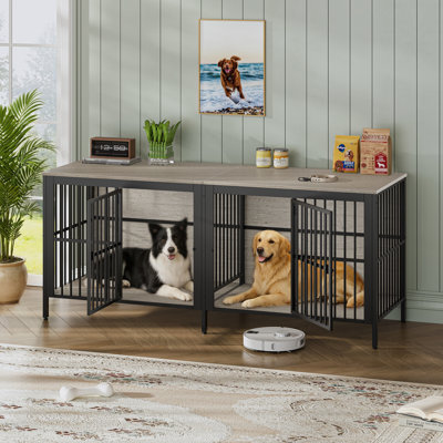 Cage pour chien 80 po avec 2 portes et structure en métal Zane