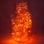 Guirlande de 50 lumières Stoller-2087663308