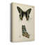 «Butterfly Profile III», impression sur toile tendue-842106258