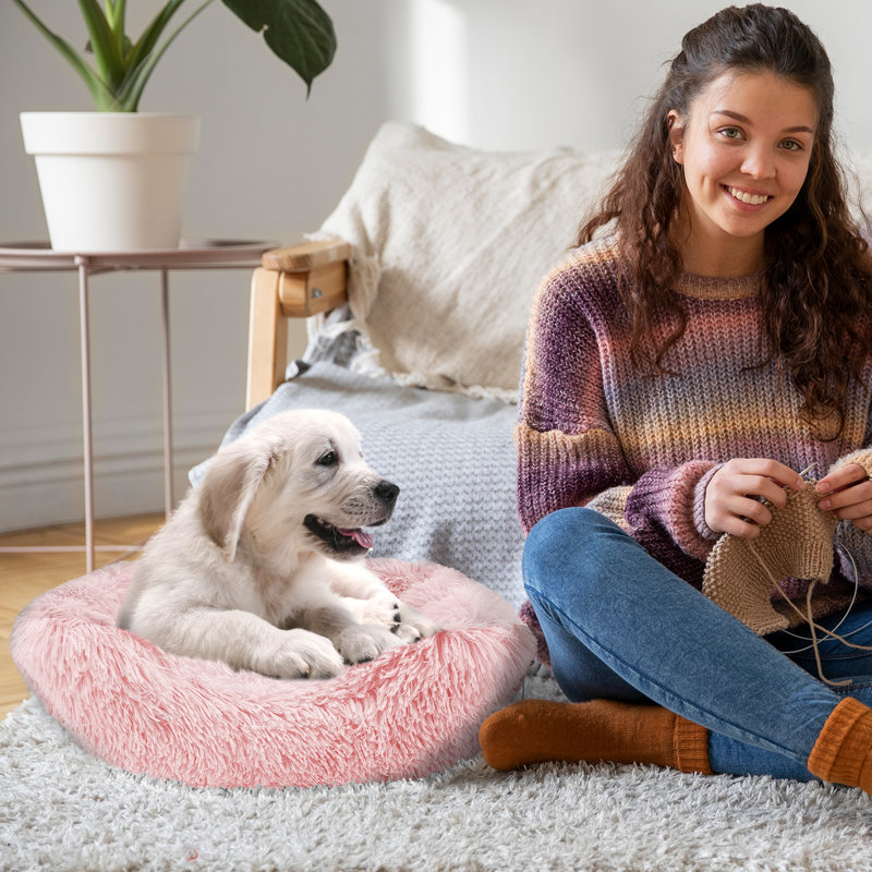 Lit pour chien Elam Super Lux Shaggy, Moyen (l 24 po x P 20 po x H 7,5 po), Rose