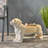 Bench-1048673521