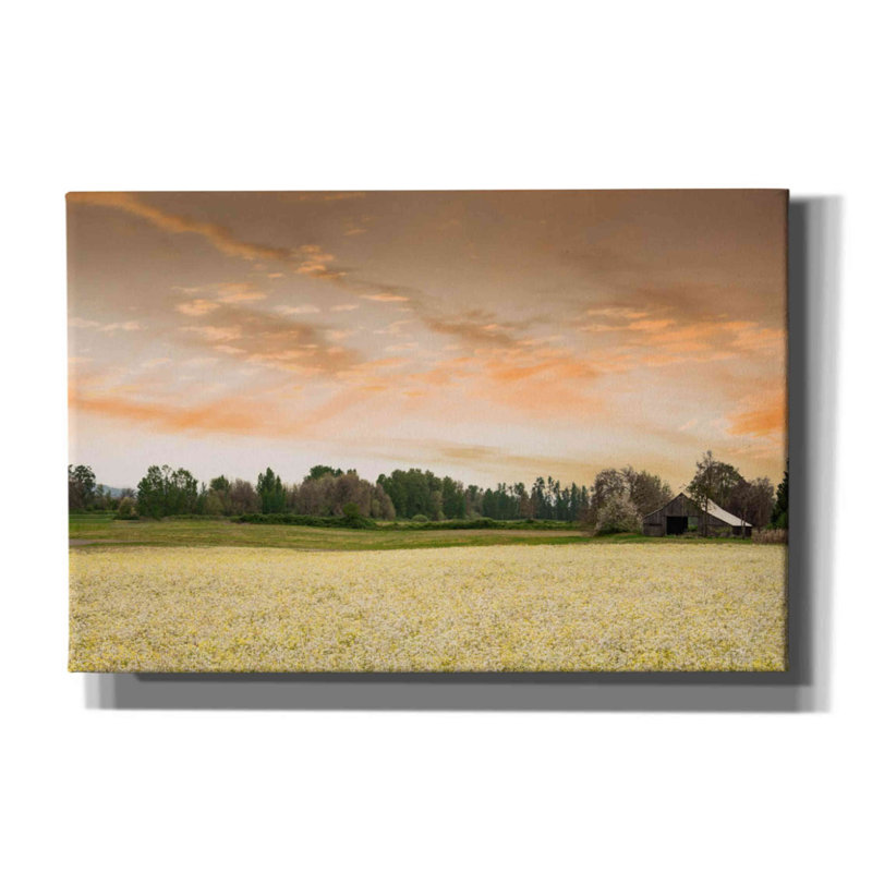 «Barn In The Field Of Spring Flowers» par Don Schwartz, estampe numérique sur toile, H 12 po x l 18 po x P 0,75 po