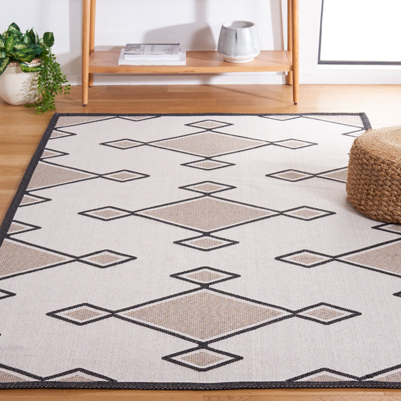 Bonilla-Alfanador Southwestern Indoor/Outdoor Rug, Rectangle 4' x 6'