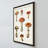 "Mushroom Chart III Light" by Wild Apple Portfolio Print on Canvas in a Floater Frame-110965277-110965282